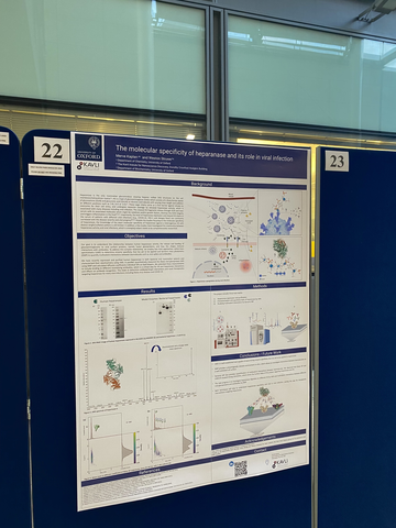 Close up photo of Merve's poster